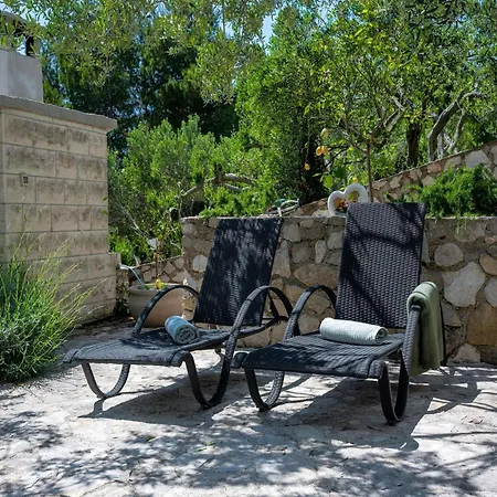 Vila Amare, With Pool And Garden Makarská