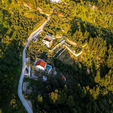 Vila Amare, With Pool And Garden Makarská